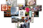 The Lily Pad - Image 3