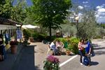 PLUS Camping Michelangelo - Image 7