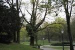 Photos of Maksimir Hotel