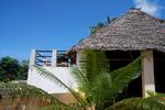 JamboHouse - Image 6