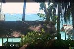 SurfCity - Image 5