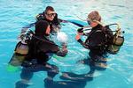 International Arab Dive Center - Image 2