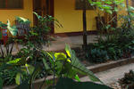 Photos of Jollyboys Backpackers