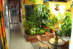 Yellow HouseHostel - Image 7