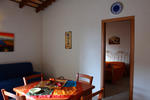 Hibiscus - Image 8