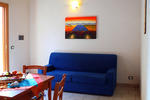 Hibiscus - Image 9