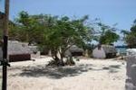 The Beach Africa - Image 6