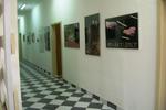 Hotel MHC - Image 7