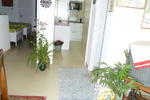 Maya's Nest - Image 3