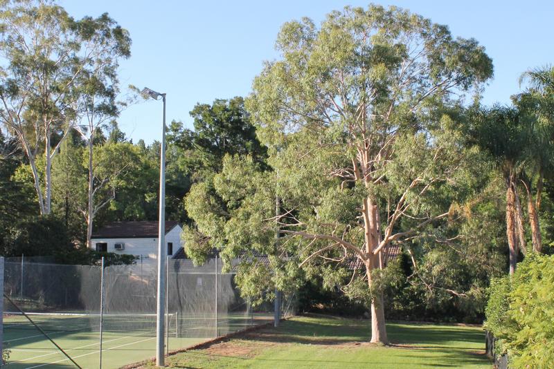 Quality Inn Dubbo International: Image # 4