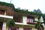 Nature Walk Resort - Image 3