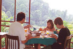 Nature Walk Resort - Image 5