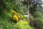 Nature Walk Resort - Image 7