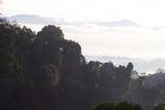 Nature Walk Resort - Image 9