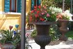Antica Villa Graziella** - Image 7