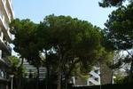 Mediterranean Suite - Image 5