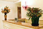 Photos of Hotel San Luca