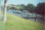 Pacific Safari Club - Image 2