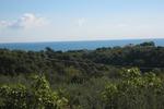 Villa Paladar - Image 2