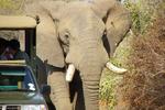Kruger Inn Backpackers - Image 2