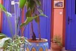 Amour de Riad - Image 6
