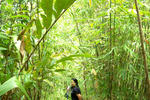 Annah Rais Longhouse Homestay - Image 8