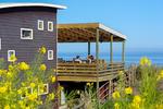 Photos of Pichilemu Surf Hostal