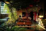 The Phoenix - Image 2
