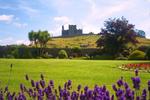 Cashel Lodge - Image 5