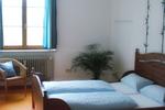 Photos of Steffi´s Hostel Heidelberg