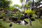 Photos of Melia Benoa