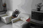 Photos of Two Guys Guesthouse