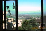 Le Petit - Image 4