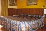 Le Petit - Image 7