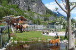 Hostel Shiloh_Works - Image 2