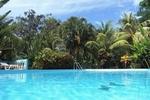 Hotel Tropical Garden