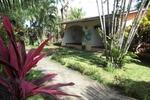 Photos of Hotel Tropical Garden