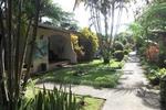 Photos of Hotel Tropical Garden