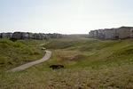 My Calgary B&B - Image 10