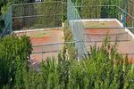 Hotel Aloe-Paphos - Image 9