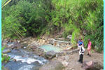 Rainforest Shangrila Resort - Image 3