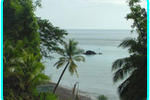 Rainforest Shangrila Resort - Image 6