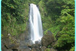 Rainforest Shangrila Resort - Image 7