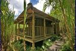 Rainforest Shangrila Resort - Image 8