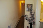 Comfy Guest House and Suite - Image 10