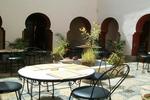 Photos of Riad Agraw