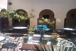 Photos of Riad Agraw