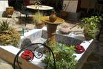 Photos of Riad Agraw