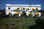 Hotel Laura - Image 2