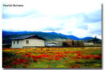 Lao Shay Youth Hostel - Image 5